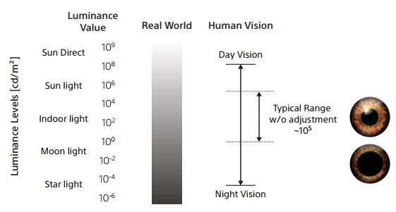 22_03_01_dynamic_range-eye.jpg