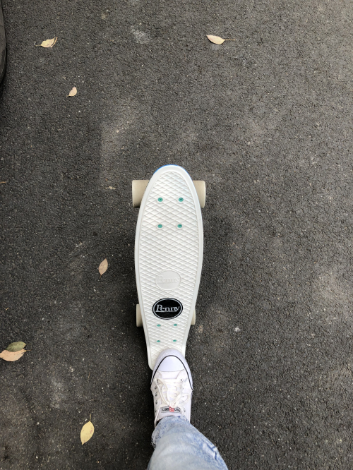 skateboard_01.jpg